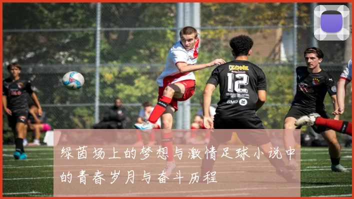 绿茵场上的梦想与激情足球小说中的青春岁月与奋斗历程